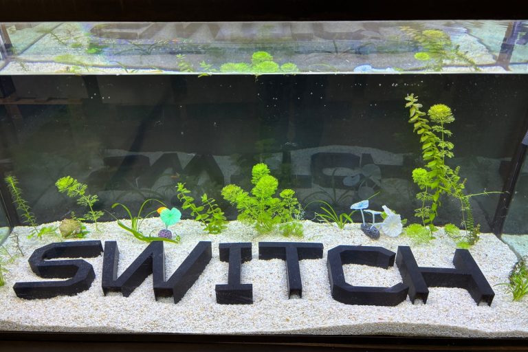 L’équipe Switch s’agrandit !